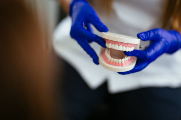 Best Dentures (Full and Partial)  in Bay Pines, FL