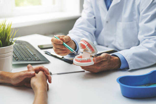 Best Pediatric Dentistry  in Bay Pines, FL